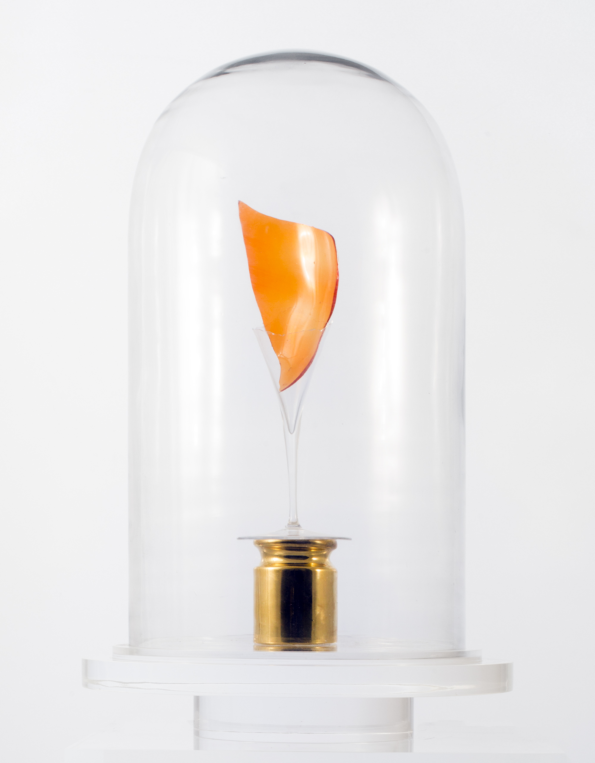 The Light That Is In Fire